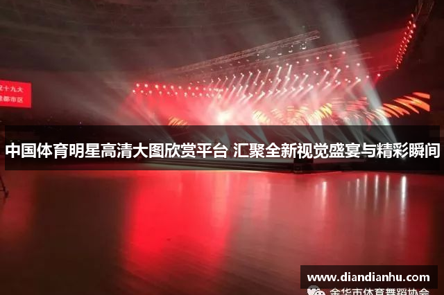 中国体育明星高清大图欣赏平台 汇聚全新视觉盛宴与精彩瞬间